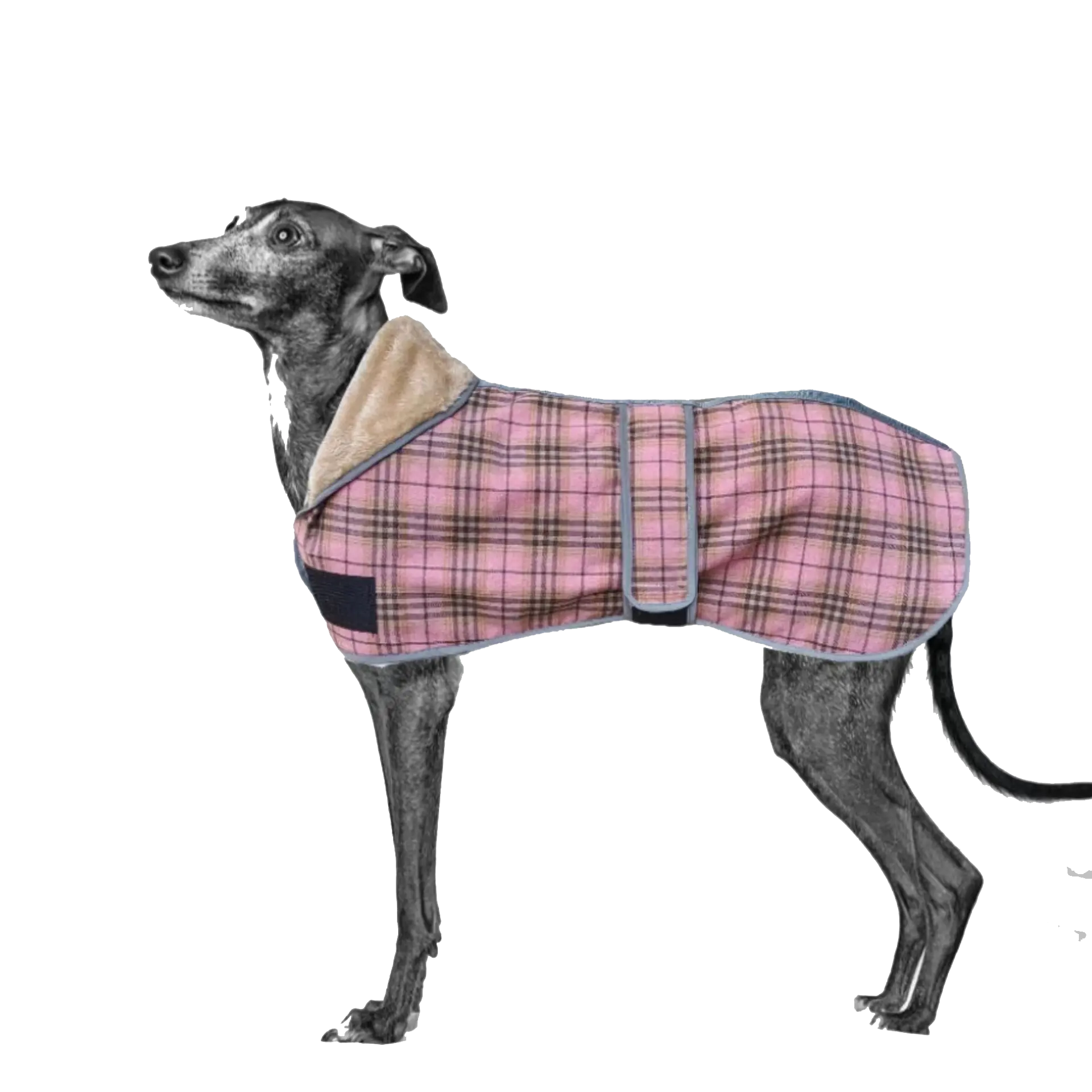 Veste pour chien Ceinture en tartan Grille d'hiver Mode Grand style britannique Mode Nouveau manteau pour animaux de compagnie