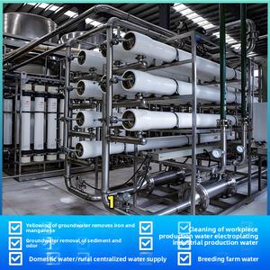 Équipement de traitement d'eau ultra-pure par osmose inverse EDI, purificateur d'eau potable directe, filtre à eau industriel pour la culture des myrtilles - Product Image 2