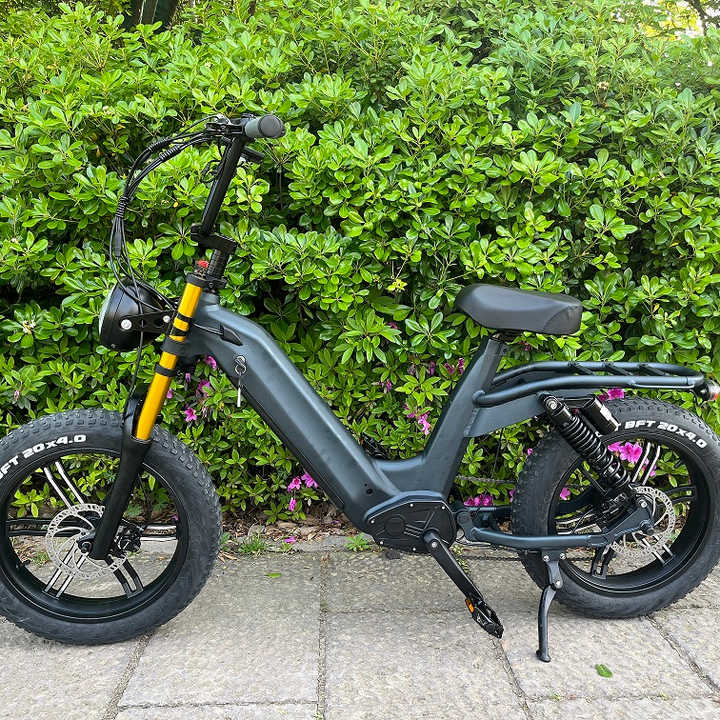 Bici Elettrica DEEPOWER S7 Fat Tire – Batteria 48V 20/35/60Ah, Autonomia Fino A 250 Km, Sospensioni Complete