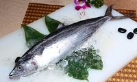 Nouveau Type de vente en gros de fruits de mer, frais frais réfrigérés, poisson glacé