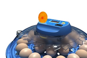 Pantalla automática de temperatura incubadora automática de torneado de huevos Capacidad de 52 huevos - Product Image 3