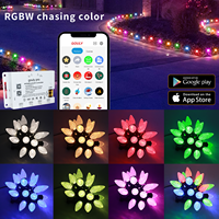 Lampes de Noël LED C9 à commande WiFi Cloud, ampoules RGBW DC12V 24V UCS2904 IP68, fixées au sol, pour extérieur, C9