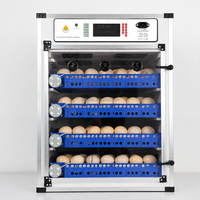 Incubateur à œufs en PVC entièrement automatique Agricon, 70-600 œufs, remplissage automatique d'eau, retournement des œufs, 220V, taux d'éclosion de 98%, pour oies, autruches, oiseaux