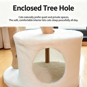 Arbre à chat en bois naturel massif avec structure tressée, nid pour chat intégré au sol, adapté aux chats petits et grands. - Product Image 2