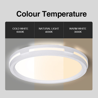 Plafonnier LED Tri-proof à Cadre Creux 3000k/4000k/6000k, Châssis en Fer, Couvercle en PP, IP40, Éclairage Intérieur pour Salon et Chambre à Coucher