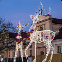 Motif 3D lumineux cerf de Noël extérieur chien éclairé Ken cerf cheval animaux décorations de cour