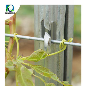 Sistema de Enrejado <span class=keywords><strong>Abierto</strong></span> Tipo Y para Viñedos, Especial para el Mercado Chileno, Nuevo Tipo de Enrejado para Uvas - Product Image 4