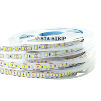 Strip LED SMD2835 18W 240LED/M 10mm 12V/24V RGB Putih Hangat Merah Hijau Biru Tahan Air Kontrol Jarak Jauh Wi-Fi IP67 CRI90 Garansi 5 Tahun
