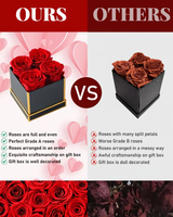 Boîte de roses éternelles préservées - Origine Chine - Pour femmes, petites amies, mamans - Livraison pour Noël et anniversaire