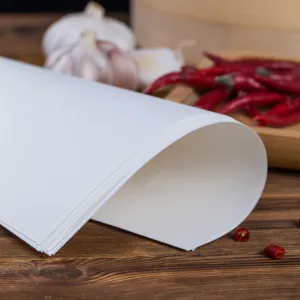 New arrival absorbing Grease Paper Made Of Tempura Paper Oil-absorbing Sheet