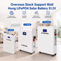 Batterie solaire LiFePO4 murale Hysonn en stock à l'étranger 51,2 V pour les installateurs et revendeurs d'ESS résidentiels en UE OEM ODM