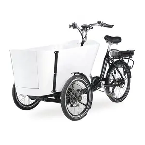 नई डिजाइन velomobile trike कार्गो 3 पहियों कार्गो बाइक रिक्शा स्पेयर पार्ट्स के लिए