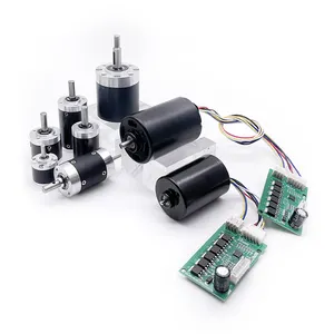 Hoog Koppel 36Mm 42Mm 12V 24V Bldc Motor Aangepaste Specificatie Met Remfunctie