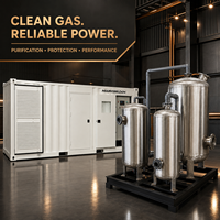 Automatisch Startender 400kW 500kVA Container-Biogas-Generator für Deponiegas-Stromerzeugung