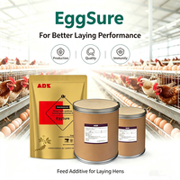 EggSure Additif multi-botanique pour volailles Optimise la santé intestinale Maintient un taux de ponte élevé Améliore le poids des œufs pour les poules pondeuses
