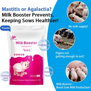 CY Milk Booster Restaura la Vitalidad Posparto, Aumenta la Producción y Calidad del Leche, Previene la <span class=keywords><strong>Diarrea</strong></span> en Lechones, Extiende la Vida Útil - Product Image 2