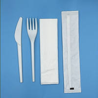 Ensemble de couverts jetables écologiques en plastique arc-en-ciel titane multicolore emballés pour anniversaire, emballés en airlaid