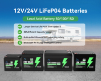 Batterie al Litio LiFePO4 12V 24V Dirette dalla Fabbrica, 50Ah 100Ah 150Ah, Batteria per Accumulo Energia Solare Domestica, Batteria al Litio a Ciclo Profondo