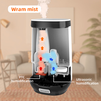 Humidificateur ultrasonique à brume chaude, diffuseur d'arômes, système de purification de l'eau à haute température avec lumière LED pour chambre à coucher