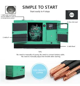 10kw cina generatori Diesel Yangdong YD480D 10.8kw 13.5kva generatore diretto in fabbrica groupe elettrogene epa generatore diesel
