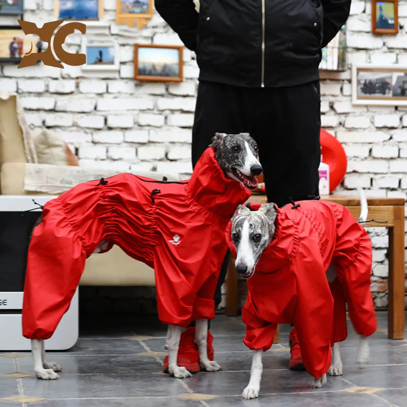 Dachshund Denim Designee bezi Disinter Costume kostüm köpek giysileri yeni 4xl çin yılı 9xl Arnes Basset Hound büyük boy pamuk