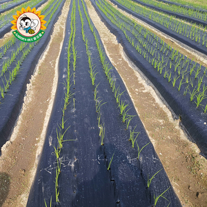 Garden Bee - Cubierta Plástica Biodegradable para Control de Malezas, Certificada por DIN, Agrícola, PLA PBAT, Color Verde Cebolla, para Jardín - Product Image 6