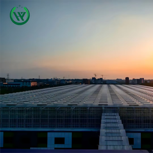Lớn Thương Mại Venlo Nhà Kính Thép Khung Độ Bền Cao Nông Nghiệp Thủy Tinh Cấu Trúc Rau Trái Cây Hoa Trồng - Product Image 3
