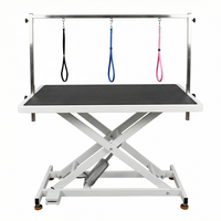 Table de toilettage électrique pour animaux de compagnie avec design durable et hauteur réglable pour un toilettage facile et un travail professionnel en salon