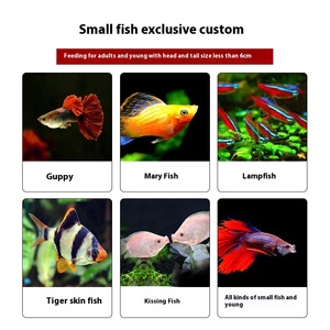 Partículas pequeñas Guppy Harina de pescado Universal Comida <span class=keywords><strong>para</strong></span> peces <span class=keywords><strong>para</strong></span> combatir peces Lámpara de anchoas Tropical <span class=keywords><strong>para</strong></span> más pequeños - Product Image 4