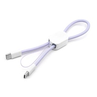 Cadeau d'entreprise promotionnel, porte-clés portable 2 en 1, cordon anti-perte, câble USB rapide, chargeur type C, cordon de synchronisation des données pour gadget