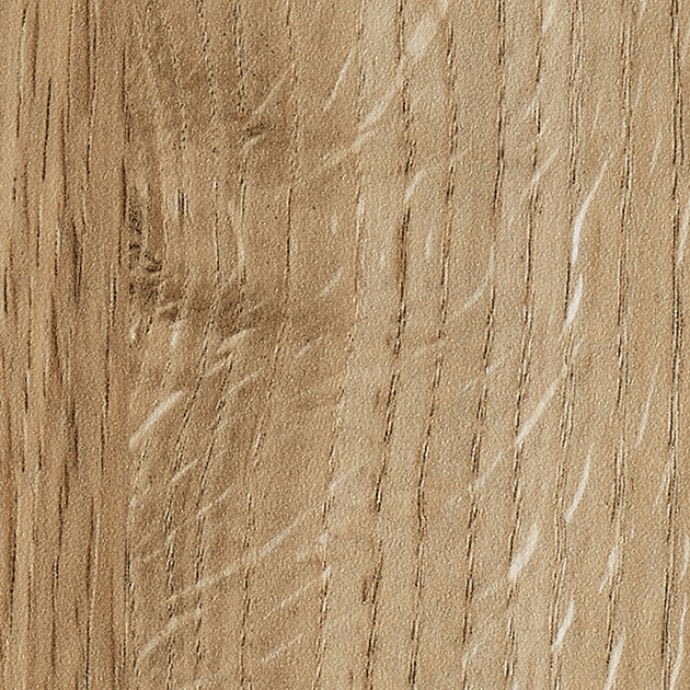 RWE5366 _ C01