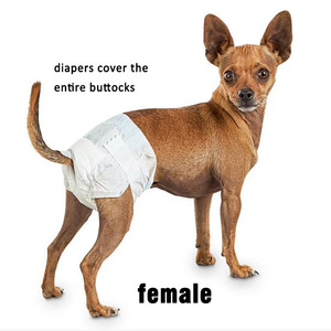 Pañales Desechables para Perros Hembras, Alta Absorbencia, a Prueba de Fugas, Precio de Fábrica, Gran Venta - Product Image 2