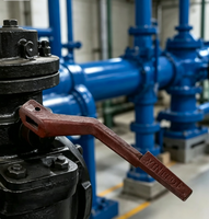 Poignée de levier de vanne en fonte haute résistance pour usage industriel, fabrication OEM sur mesure par moulage en sable, certifiée IATF16949, pièce de rechange pour machines