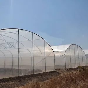 Landwirtschaft liches Gewächshaus beschattung system, das Plastik gemüse gewächs häuser zum Verkauf anbaut