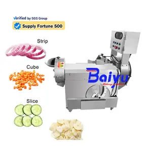 Baiyu Multifunctional Potato Chopper and Fruit Vegetable Slicer French Fries Cutter Machine with Engine and PLC Core Components