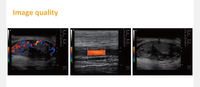 Échographe Doppler Couleur Portable S7Plus Endoscopique pour Diagnostic de Reproduction et de Tendons chez Chevaux, Bovins, Ovins, Porcins