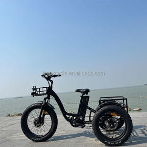 <span class=keywords><strong>2023</strong></span> nouvelle production de Tricycle électrique moto 500W moteur puissance vélo <span class=keywords><strong>cargo</strong></span> électrique batterie Certification 3 roues pour adulte - Product Image 5