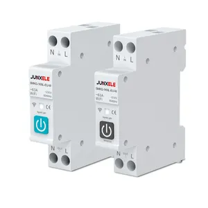 Tuya Met Metering Wifi Afstandsbediening Smart Home Draadloze Stroomonderbreker Schakelaar 1P 63a Din Rail