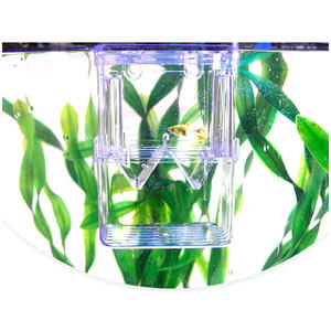 Caja de plástico transparente para acuario, recipiente de cría de peces acrílico, <span class=keywords><strong>doble</strong></span> Guppies, incubadora de incubar, aislamiento para el hogar - Product Image 4