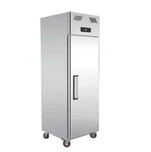 फैक्टरी प्रत्यक्ष बिक्री congelateur वाणिज्यिक रेफ्रिजरेटर 500L रेफ्रिजरेटर वाणिज्यिक उपकरण गहरी वाणिज्यिक फ्रिज