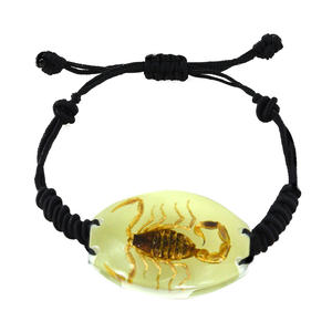 سوار مجوهرات من الراتنج المضيء مع حشرات حقيقية خنفساء العقرب العنكبوت حلي للهالويين للأطفال - Product Image 2