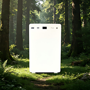 Système de stockage d'énergie domestique JIKAI léger 51,2 V IP65 10 kWh, batterie LiFePO4 verticale à montage au sol - Product Image 1