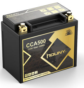 Batteria <span class=keywords><strong>moto</strong></span> elettrica 12V 20Ah LiFePO4 potenti <span class=keywords><strong>batterie</strong></span> <span class=keywords><strong>Auto</strong></span> di avviamento - Product Image 1