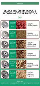 Máquina Eficiente para Procesar Alimentos para Aves de Corral, Ahorradora de Energía, Máquina Pequeña para Hacer Pellets de Alimento para Mascotas, Gatos y Perros - Product Image 5