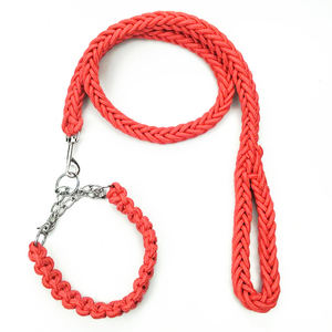 Cuerda de doble hebra hecha a mano de nailon 2 en <span class=keywords><strong>1</strong></span>, hebilla de cadena P de Metal grande, entrenamiento de mascotas, cuerda de tracción tejida, conjunto de <span class=keywords><strong>Collar</strong></span> y correa para perro - Product Image 3
