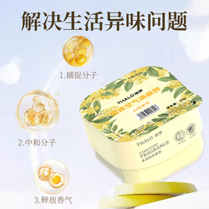 Désodorisant solide Thalo 90g Parfum longue durée pour la maison et la voiture - Product Image 2