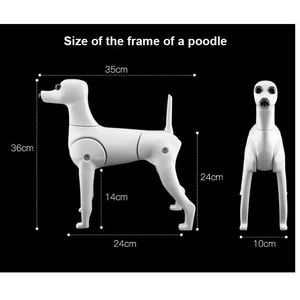 מודל כלב עבור טיפוח חיות מחמד תרגול פאה עם מודל גולגולת כלב מנקין - Product Image 5