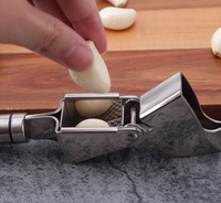 Presse-ail manuelle en acier inoxydable 304 de qualité professionnelle, ustensile de cuisine en métal pour la maison, pour faire de la pâte de gingembre et d'ail