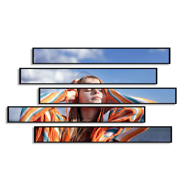 Ultra-Wide Stretched Bar LCD for Shelf Edge Signage