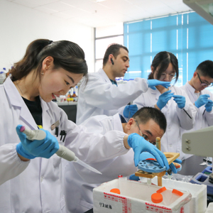 Phòng thí nghiệm Nguồn cung cấp rat <span class=keywords><strong>VEGF</strong></span>-A (mạch máu nội mô tế bào tăng trưởng Factor A) <span class=keywords><strong>Elisa</strong></span> <span class=keywords><strong>Kit</strong></span> - Product Image 2